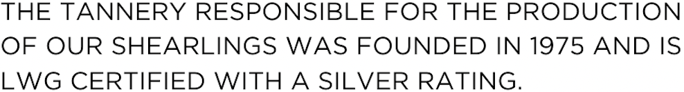Original 51. text 2
