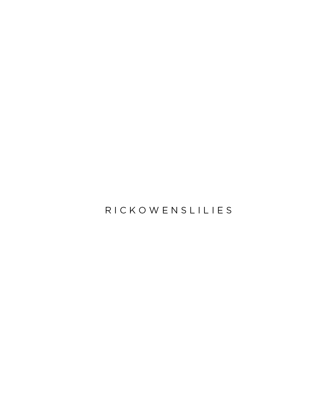  17.03.25 mouse 1080x1350 lilies