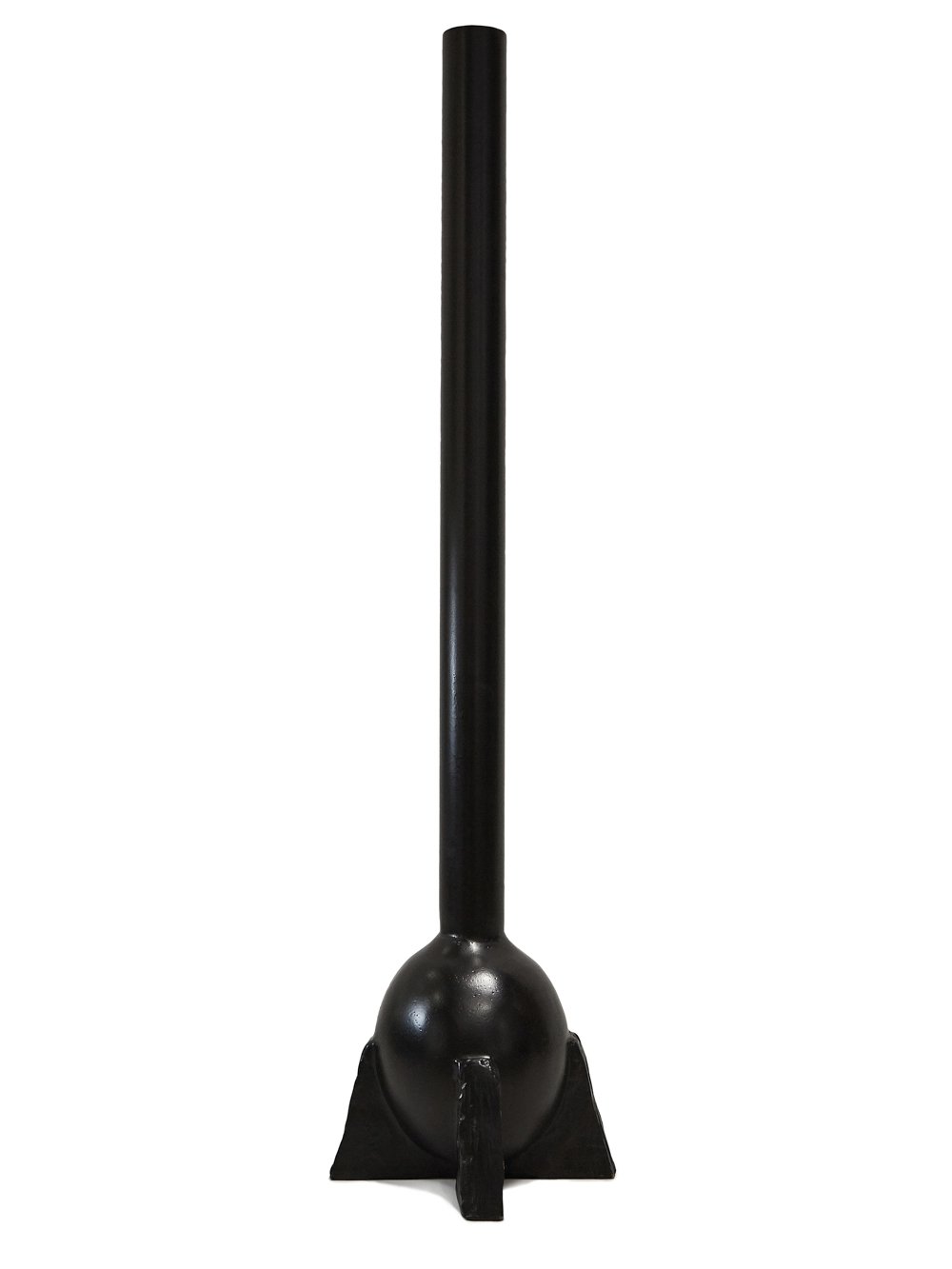 SWANNECK2007 image