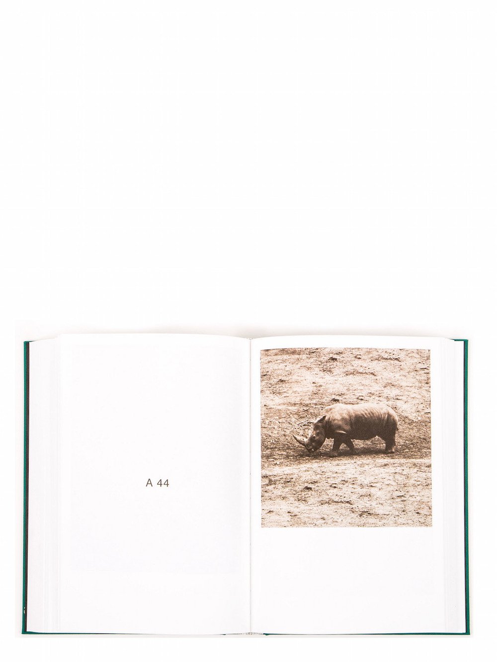 RICK OWENS - "NUDE ANIMAL CIGAR" BY PAUL KOOIKER
